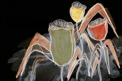Dark Botanical Pods by Lori Ann Folz