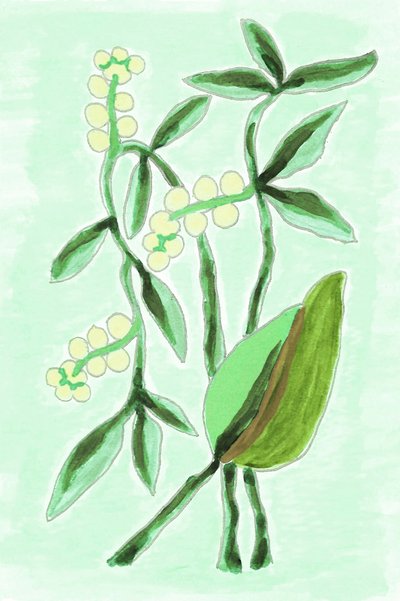 Fresh Botanical Greenery by Lori Ann Folz
