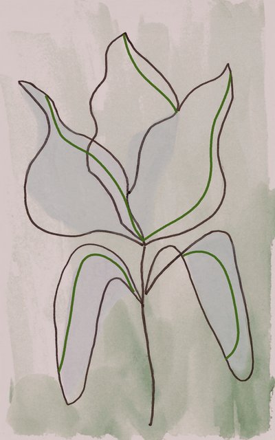 Minimalist Botanical Outline by Lori Ann Folz