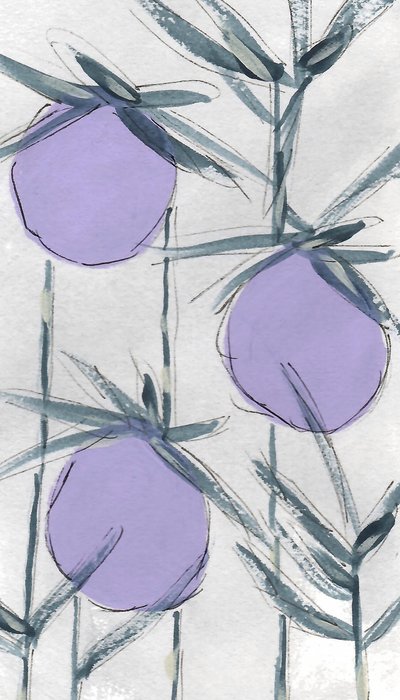Purple Botanical Fruits by Lori Ann Folz