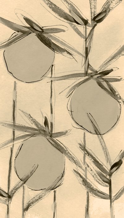 Sepia Cotton Plants by Lori Ann Folz