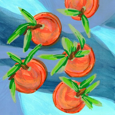 Vibrant Citrus Fruits by Lori Ann Folz