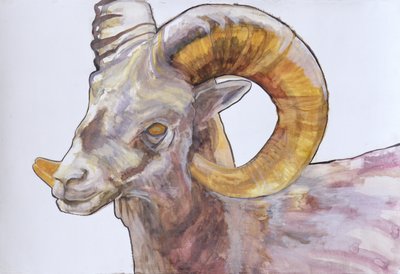 American Long Horn by Lou Gibbs