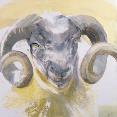 Long Horn Sheep by Lou Gibbs