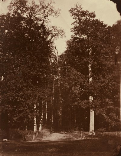 Forest at Saint-Cloud by Louis-Rémy Robert