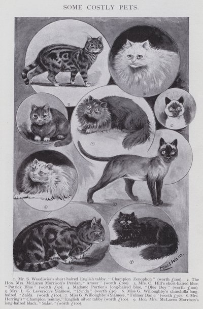 Some Costly Pets by Louis (after) Wain