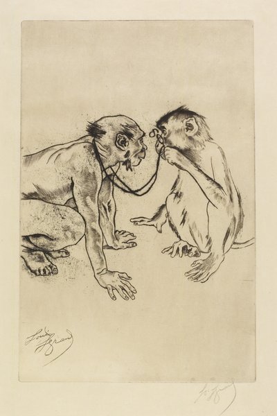 Comparative Anatomy by Louis Auguste Mathieu Legrand