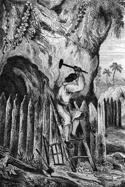 I planted ten rows of palisades. engraving after M. de Sainson