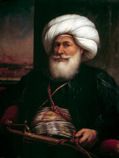 Portrait of Muhammad Ali Pasha by Louis Charles Auguste Couder