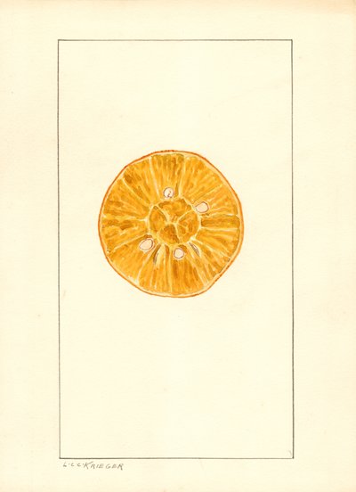 Orange by Louis Charles Christopher Krieger