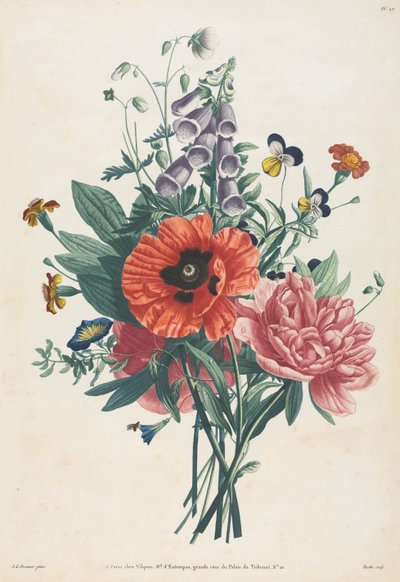 Collection of Flowers and Fruits Painted after Nature: Bouquet of Foxglove, Clematis, Pansy, Peony, Poppy, and Yellow Day Lily by Louis Charles Ruotte