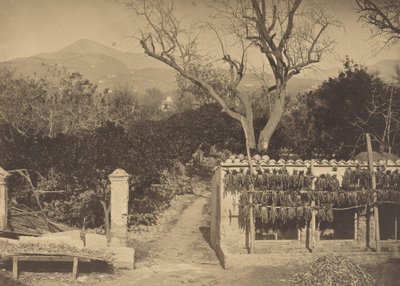 Agricultural Scene with Mountains by Louis Crette