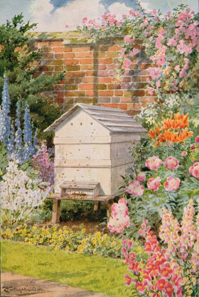 A Beehive, illustration from 