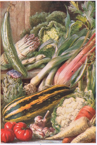 Garden Vegetables, illustration from 