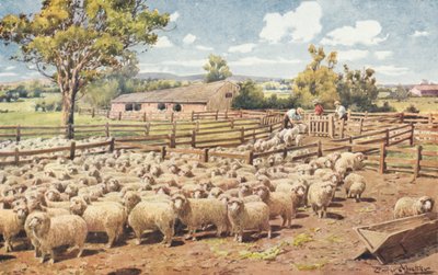 Scene on an Australian Sheep Station by Louis Fairfax Muckley