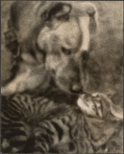 [Cat and Dog] by Louis Fleckenstein