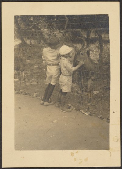 Children by Fence with Deer by Louis Fleckenstein