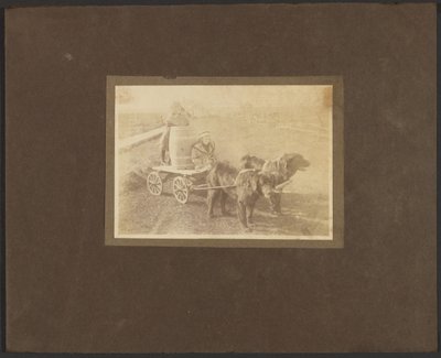 Children on Cart Pulled by Dogs by Louis Fleckenstein