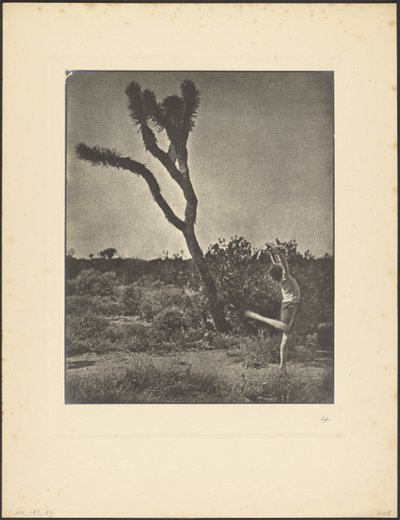 Dancer at Joshua Tree by Louis Fleckenstein