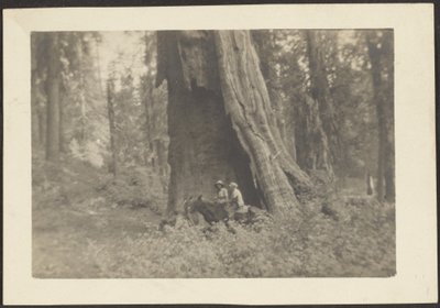 Figures on Horseback in Hollow of Massive Tree by Louis Fleckenstein
