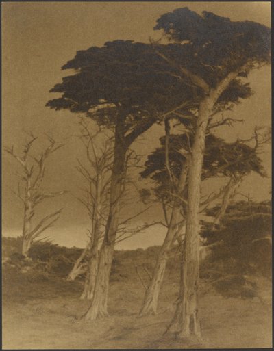Landscape with Trees by Louis Fleckenstein