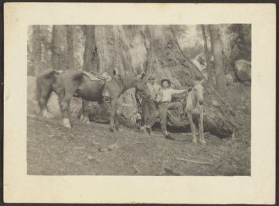 Men and Pack Horses in Forest Clearing by Louis Fleckenstein