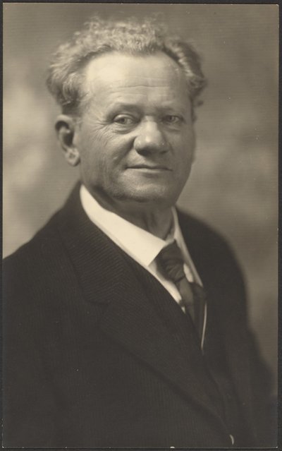 Portrait of a Man in Black Striped Suit by Louis Fleckenstein