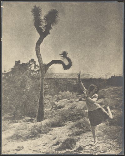 The Corkscrew Twist by Louis Fleckenstein