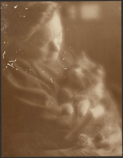 The Pet Angora by Louis Fleckenstein