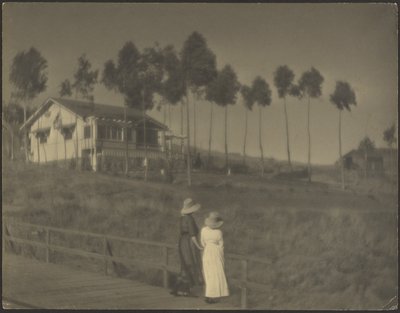 The White Cottage by Louis Fleckenstein