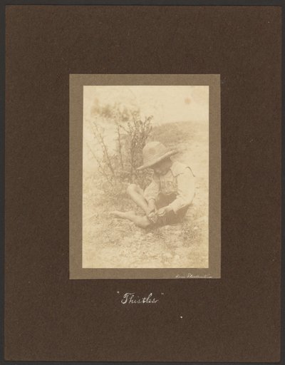 Thistles by Louis Fleckenstein