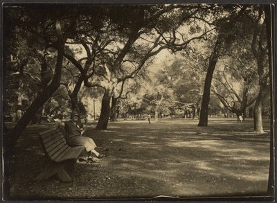 Woman in a Park by Louis Fleckenstein