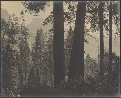 Woodsy Landscape by Louis Fleckenstein
