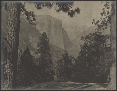 Yosemite, Through the Pines by Louis Fleckenstein