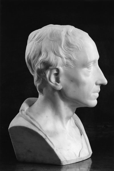 Bust of Alexander Pope by Louis Francois Roubillac
