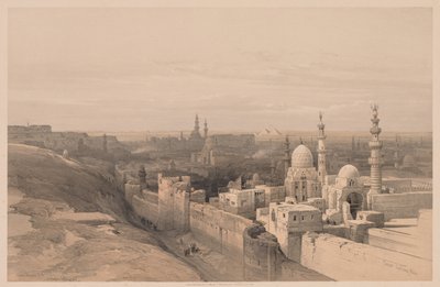 Egypt and Nubia: Volume III - No. 26, Cairo, Looking West by Louis Haghe