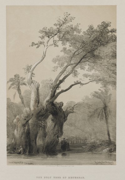 Egypt and Nubia, Volume III: The Holy Tree of Metereah by Louis Haghe