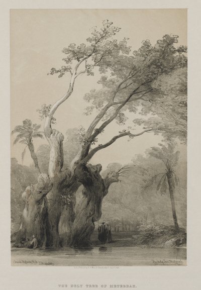Egypt and Nubia, Volume III: The Holy Tree of Metereah by Louis Haghe