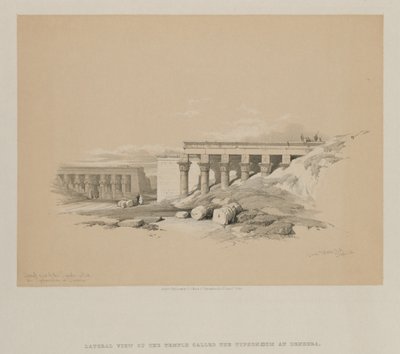 Egypt and Nubia, Volume II: Lateral View of the Temple called The Typhonoeum at Dendera by Louis Haghe