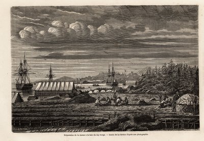 Preparation of cod at the bay of Cap Rouge by Louis Le Breton