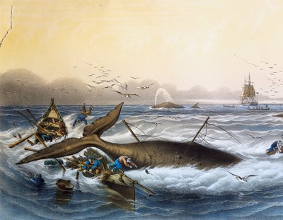 Whaling in South Seas by Louis Le Breton