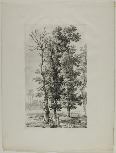 Study of Trees by Louis Pierre Baltard