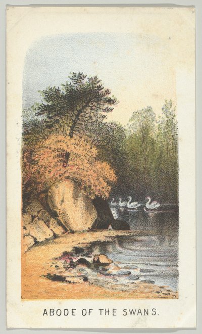 Abode of the Swans, from the series, Views in Central Park, New York, Part 2 by Louis Prang