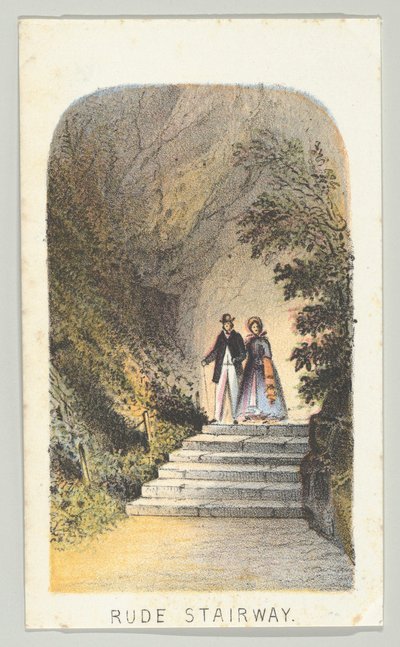 Rude Stairway, from the series, Views in Central Park, New York, Part 2, 1864 by Louis Prang