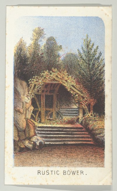 Rustic Bower, from the Series, Views in Central Park, New York, Part 3 by Louis Prang