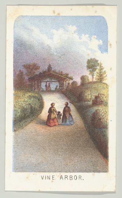 Vine Arbor, from the series, Views in Central Park, New York, Part 3, 1864 by Louis Prang