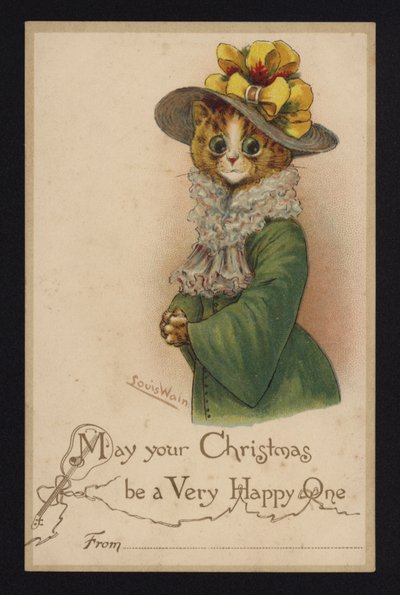 Cat wearing a woman