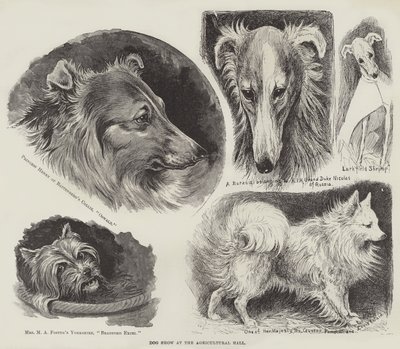 Dog Show at the Agricultural Hall by Louis Wain