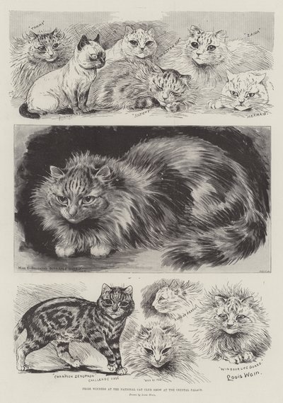 Prize Winners at the National Cat Club Show at the Crystal Palace by Louis Wain