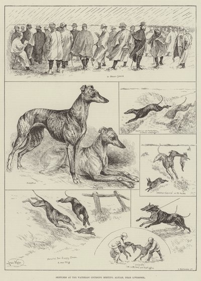 Sketches at the Waterloo Coursing Meeting, Altcar, near Liverpool by Louis Wain